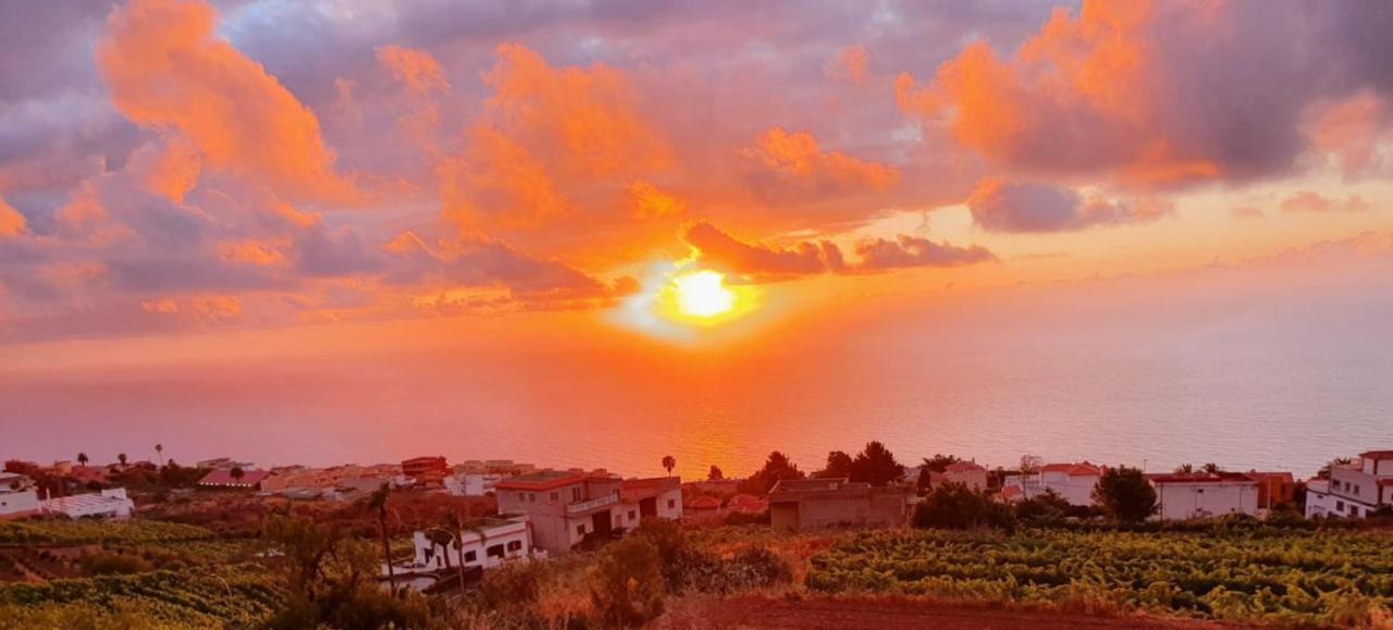Villa La Casita La Matanza de Acentejo Kültér fotó